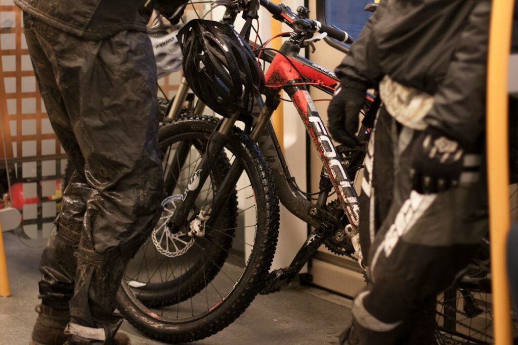 How to Safely Store E-Bike Batteries During Winter: Voltage, Temperature, and Health Checks professional technical reference figure 2